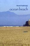 Ocean Beach (cover)
